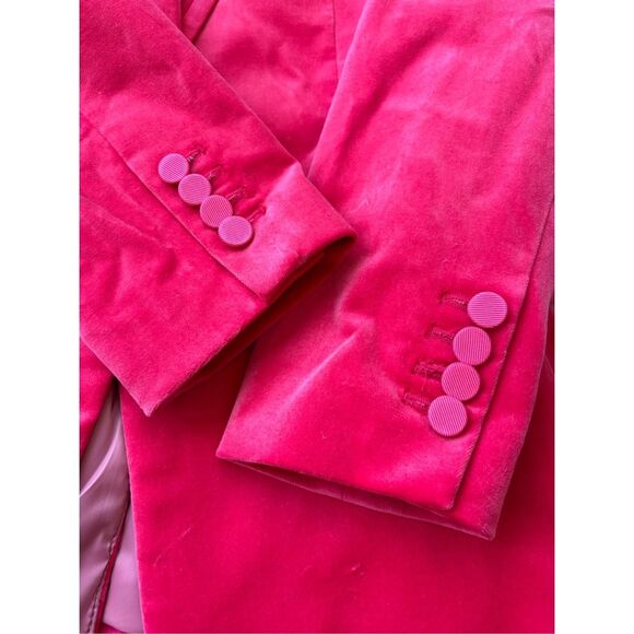 NWOT J.Crew Collection Willa Pants ONLY in Tipped Stretch Velvet -SIZE 4 Dr - Picture 8 of 10